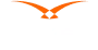 Hawk-Eye (ホークアイ) ロゴ