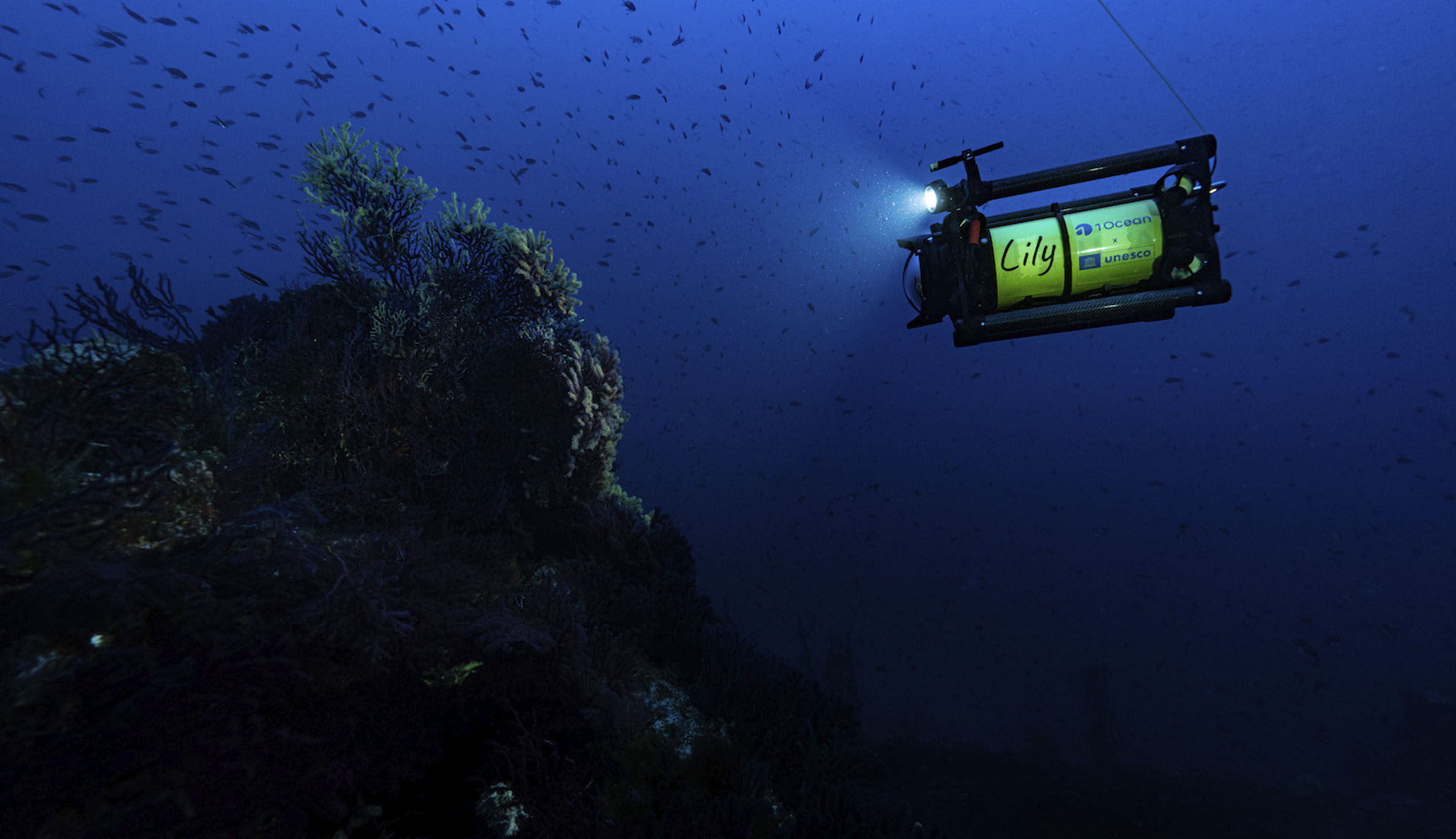 黄色い潜水撮影ロボット「リリー（Lily）」