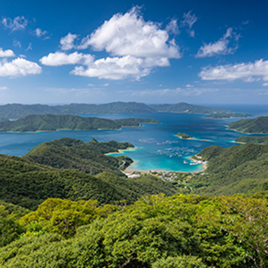 真っ青な海に浮かぶ奄美群島を見下ろしている
