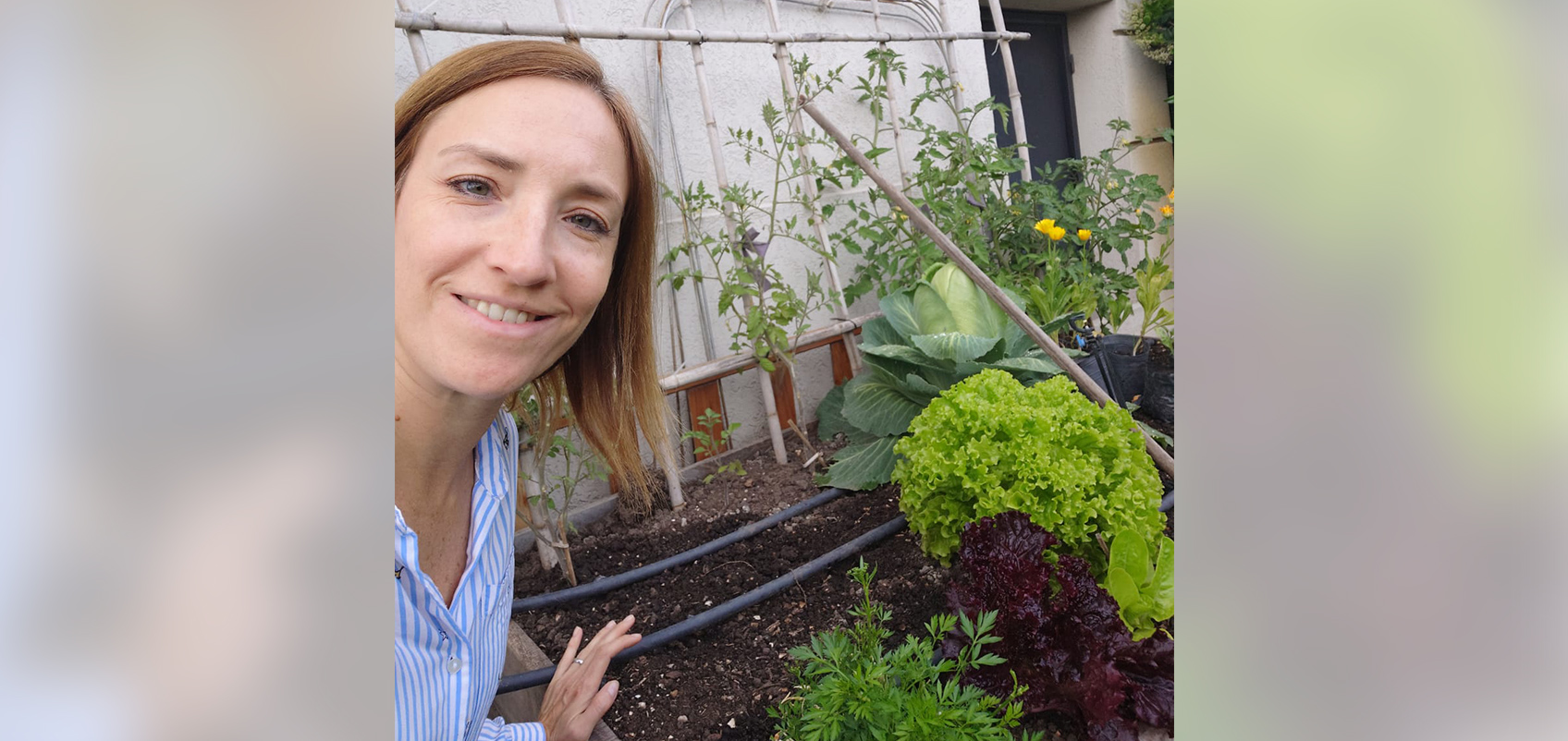 畑にいる人の写真
