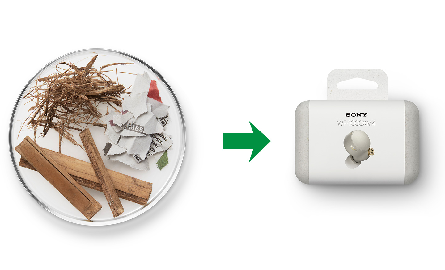 シャーレに入った紙や植物の原料と、イヤホンのパッケージが並んでいる。その間に右矢印が書かれている。