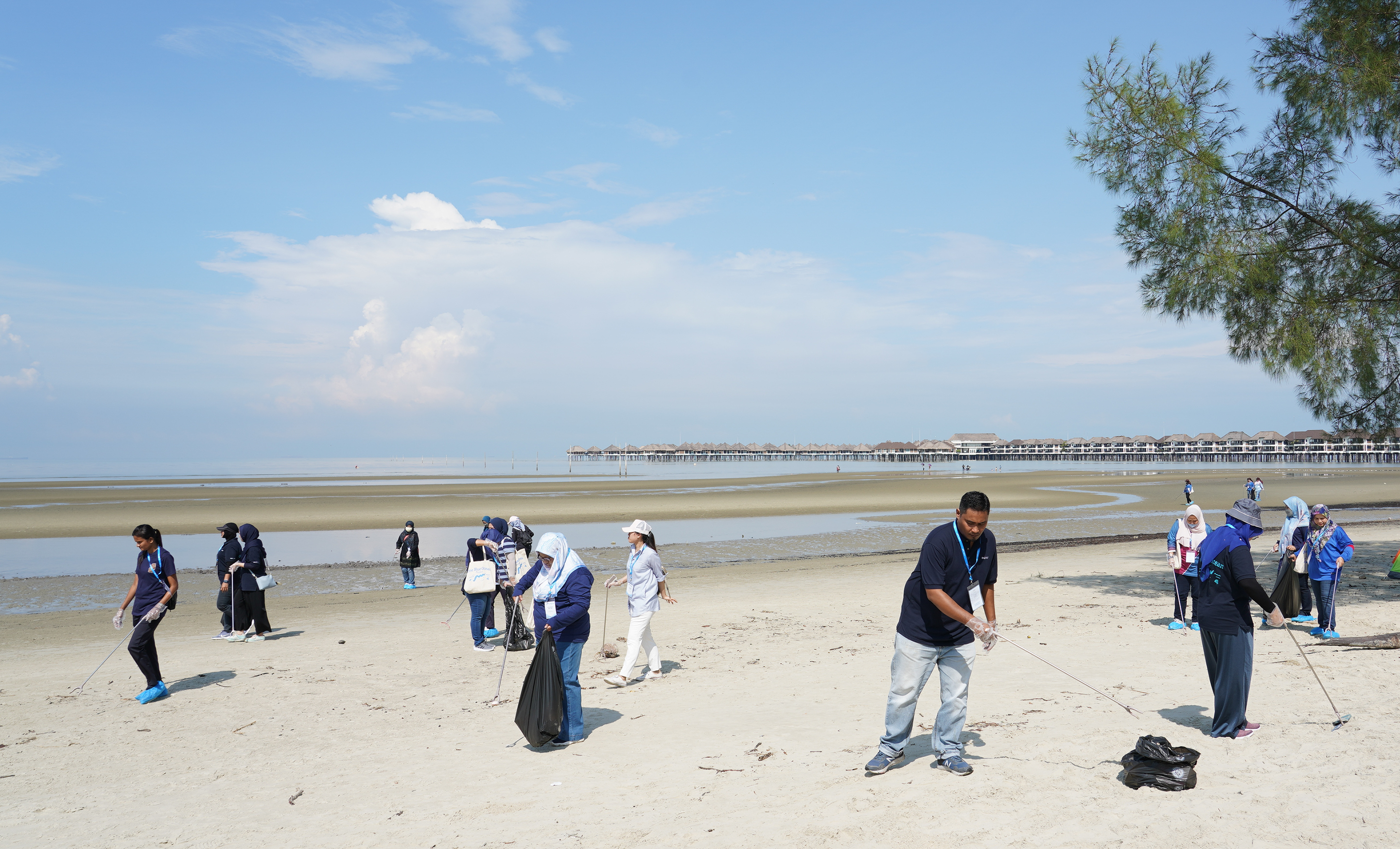砂浜で活動する人々