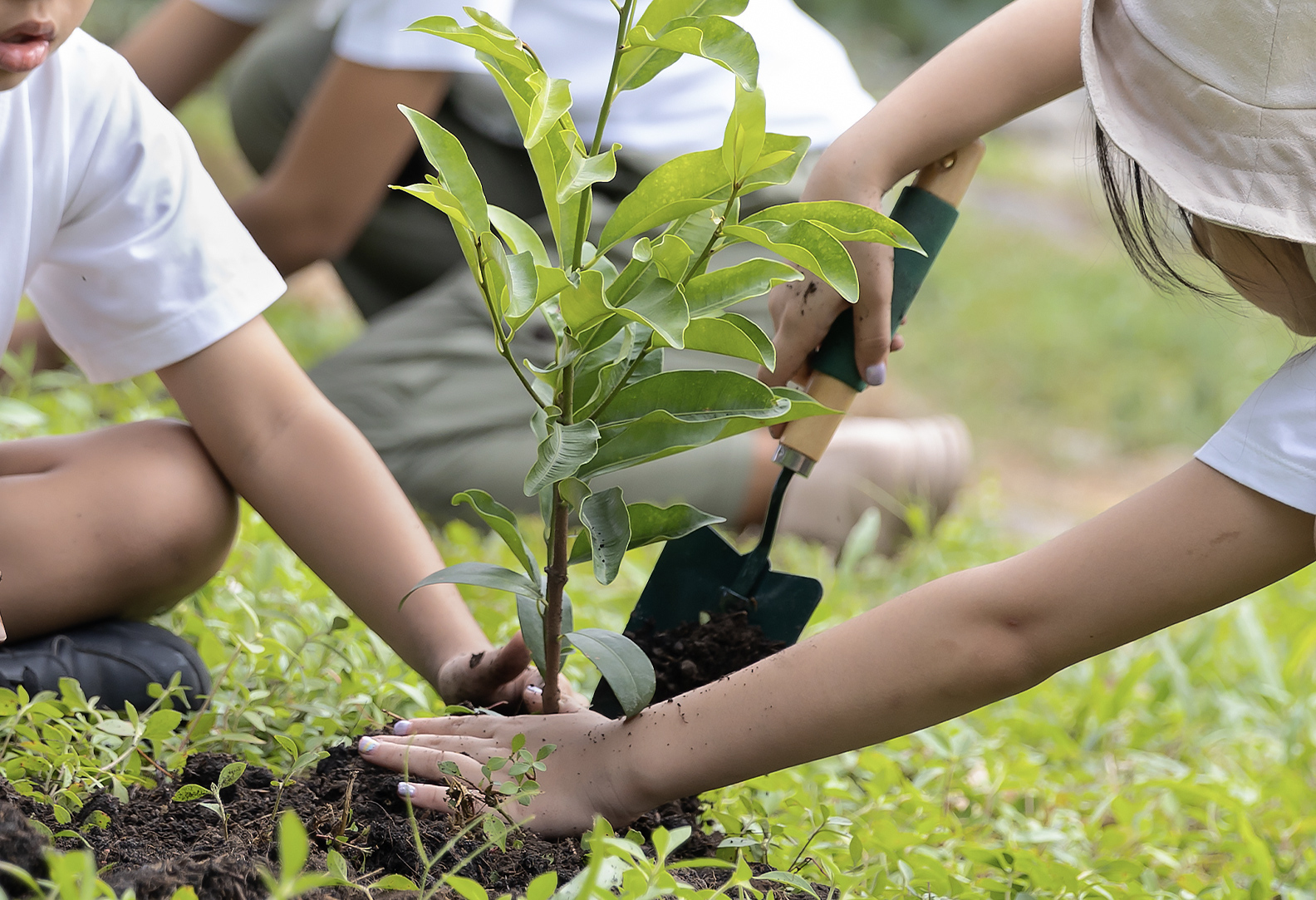 植林をする子どもたち