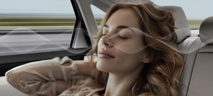 Spatial Noise Canceling