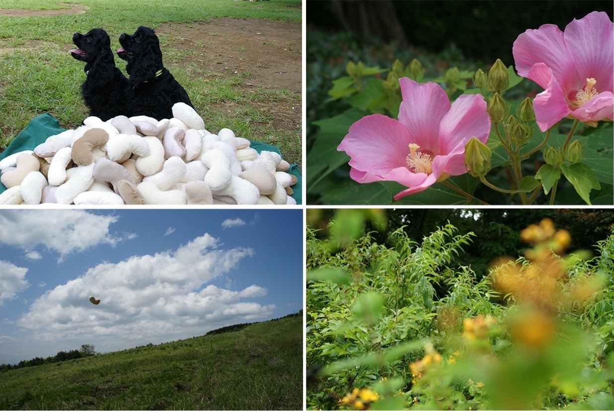 Photographed by Junya Suzuki