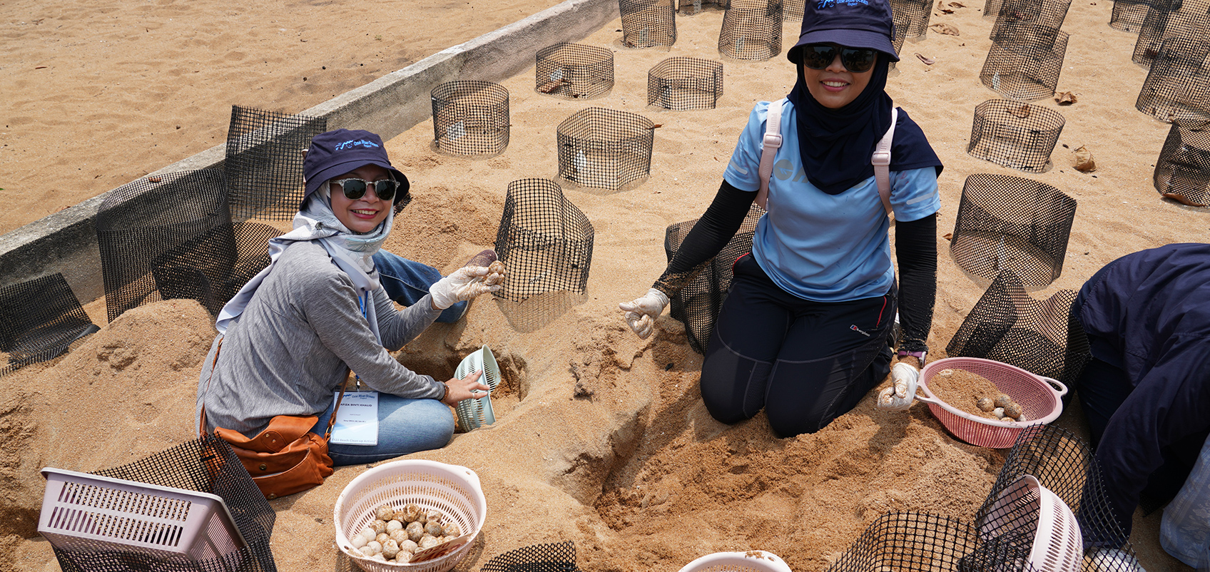 Photo of people excavating turtle eggs