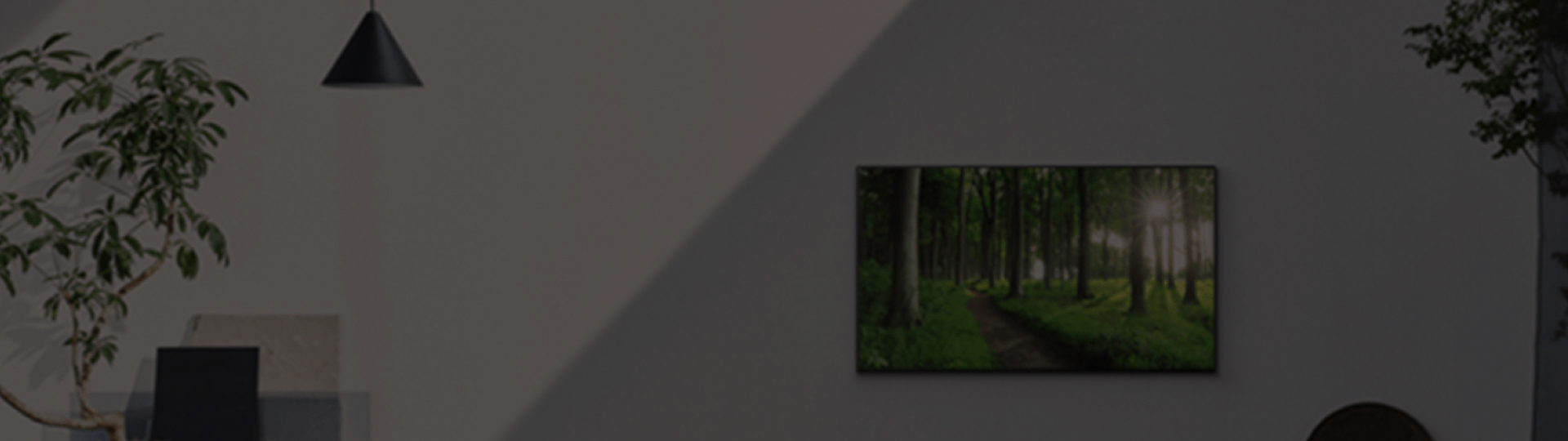 イメージ：ディスプレイ